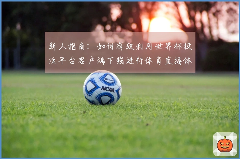 新人指南：如何有效利用世界杯投注平台客户端下载进行体育直播体验提升