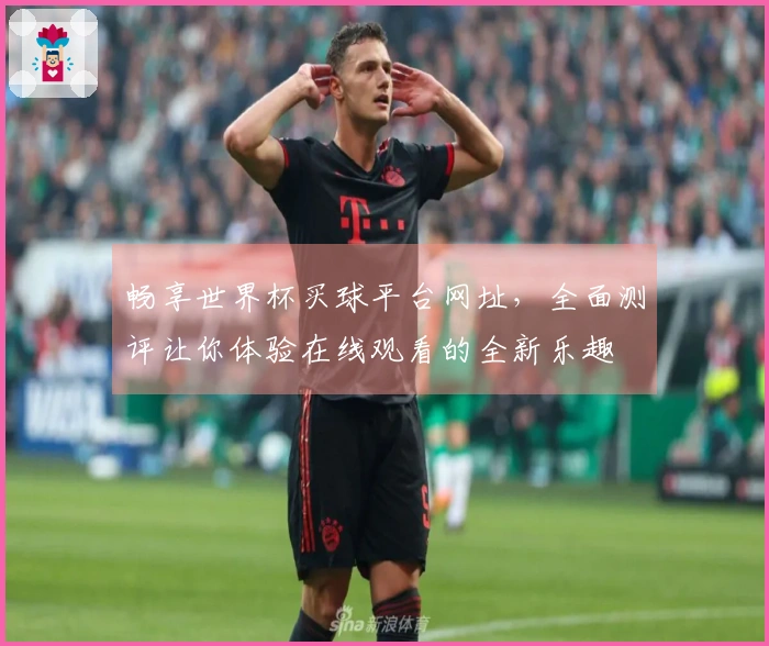 畅享世界杯买球平台网址，全面测评让你体验在线观看的全新乐趣