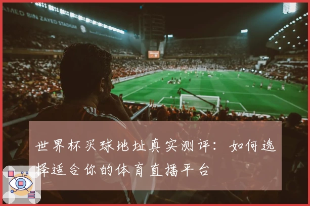 世界杯买球地址真实测评：如何选择适合你的体育直播平台