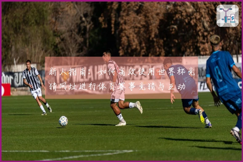 新人指南：如何高效使用世界杯竞猜网址进行体育赛事竞猜与互动