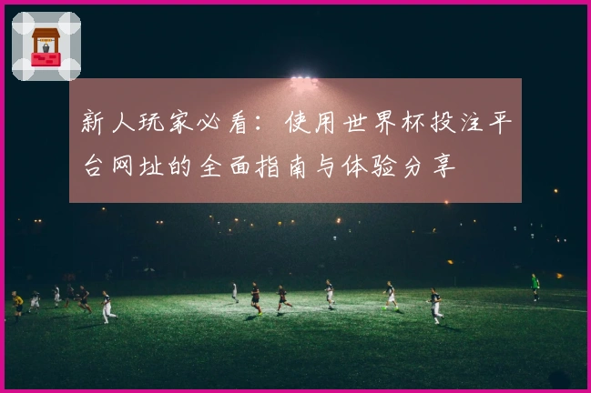 新人玩家必看：使用世界杯投注平台网址的全面指南与体验分享