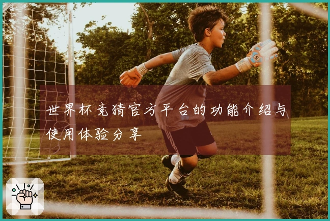 世界杯竞猜官方平台的功能介绍与使用体验分享