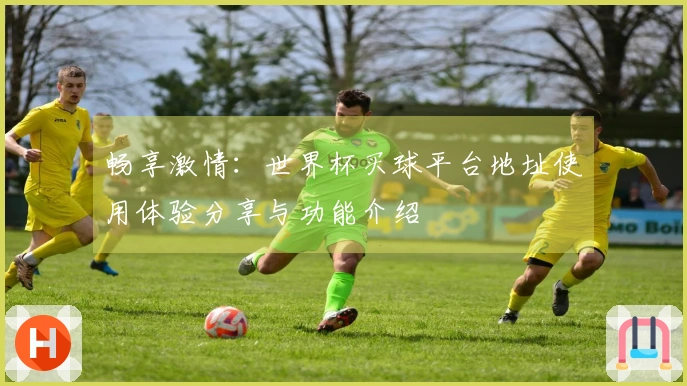 畅享激情：世界杯买球平台地址使用体验分享与功能介绍