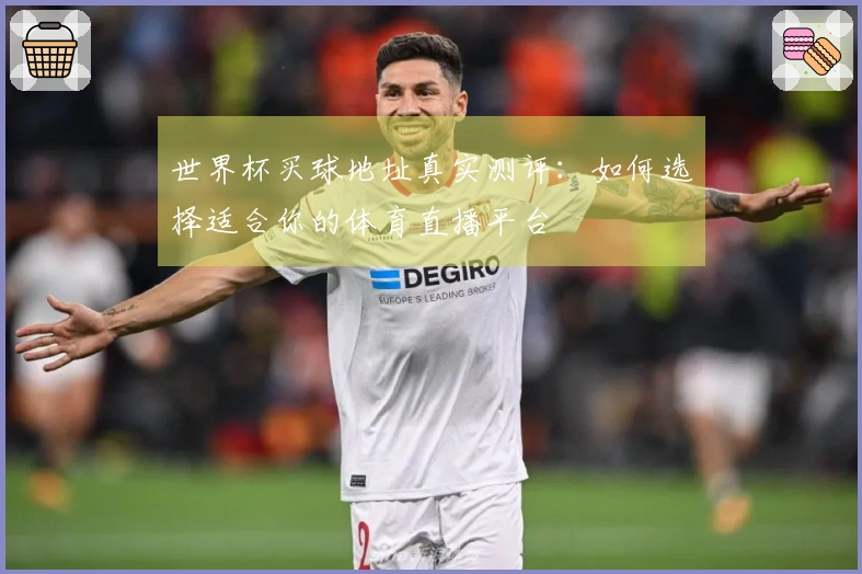 世界杯买球地址真实测评：如何选择适合你的体育直播平台