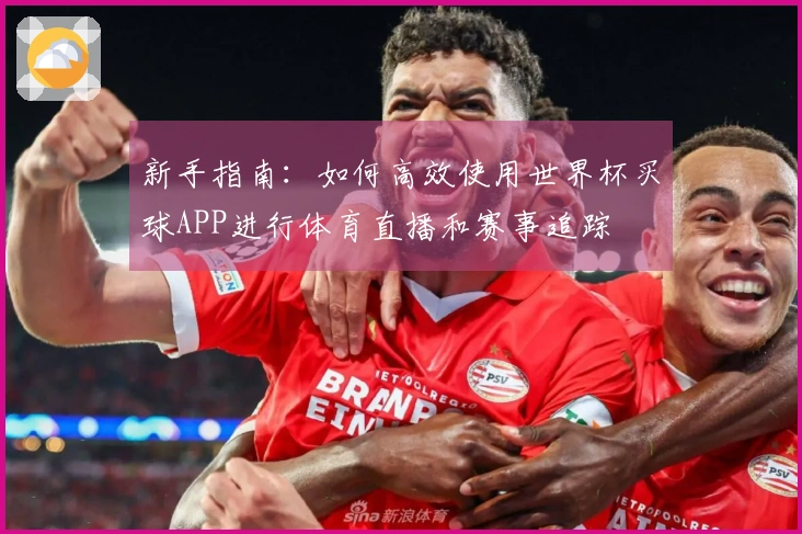 新手指南：如何高效使用世界杯买球APP进行体育直播和赛事追踪