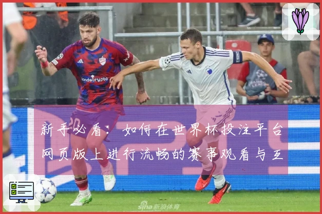 新手必看：如何在世界杯投注平台网页版上进行流畅的赛事观看与互动体验
