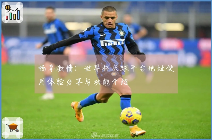 畅享激情：世界杯买球平台地址使用体验分享与功能介绍