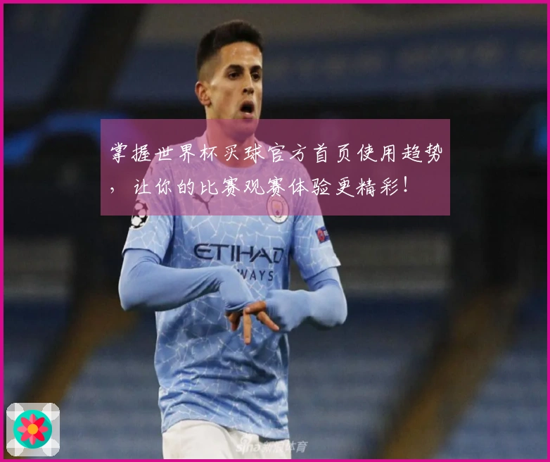 掌握世界杯买球官方首页使用趋势，让你的比赛观赛体验更精彩！